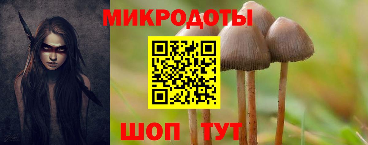 Галлюциногенные грибы Psilocybe Урус-Мартан